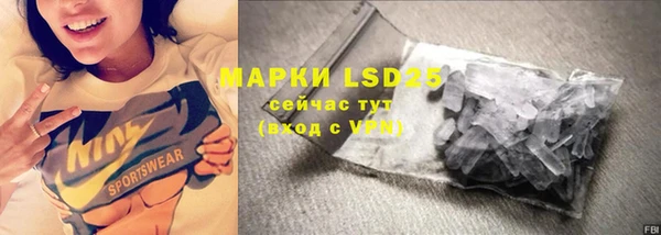 спайс Корсаков