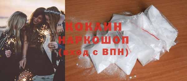 спайс Корсаков
