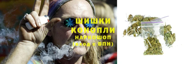 спайс Корсаков