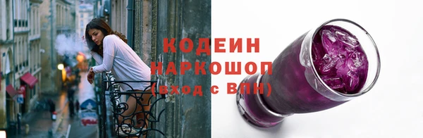 спайс Корсаков