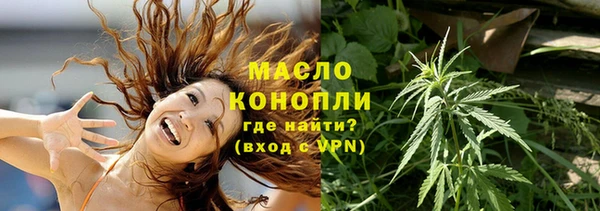 спайс Корсаков