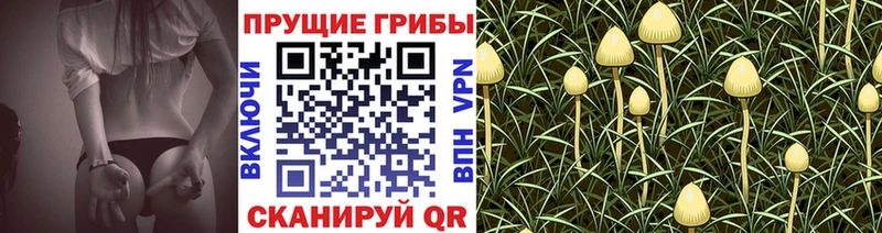 Купить где  Билибино  Псилоцибиновые грибы Magic Shrooms 